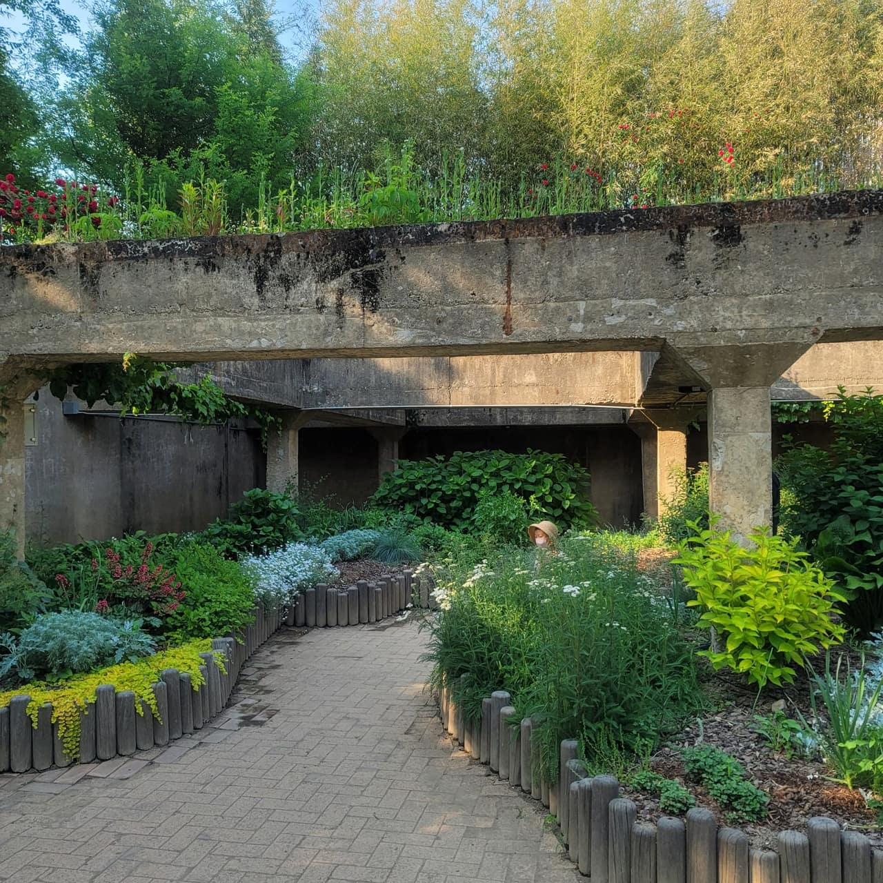 Seoul Forest in May