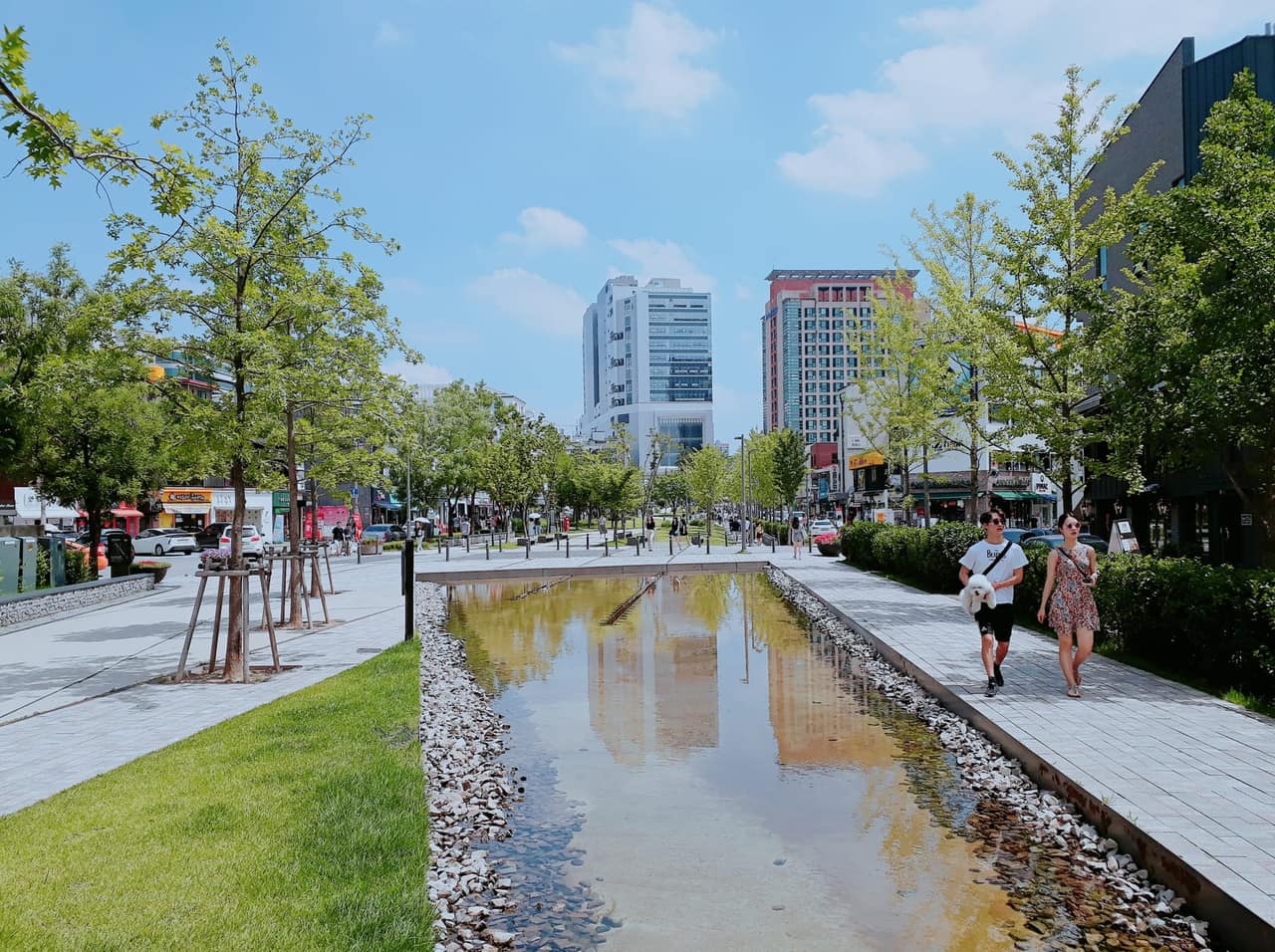 Gyeongui Line Forest Park in Yeonnam-dong, a tree-lined path along a shallow water channel